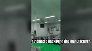 Jalur Pengemasan Konveyor Cleanroom Presisi Tinggi Coattech Untuk Manufaktur Tingkat Lanjut