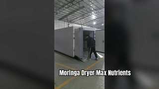 Pengering Pompa Panas Coattech 7-HP | Dehidrasi Kelor Industri